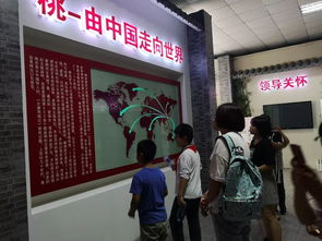 桃香引巧思，非遺潤童心——奉賢錢橋?qū)W校暑期親子體驗(yàn)活動側(cè)記